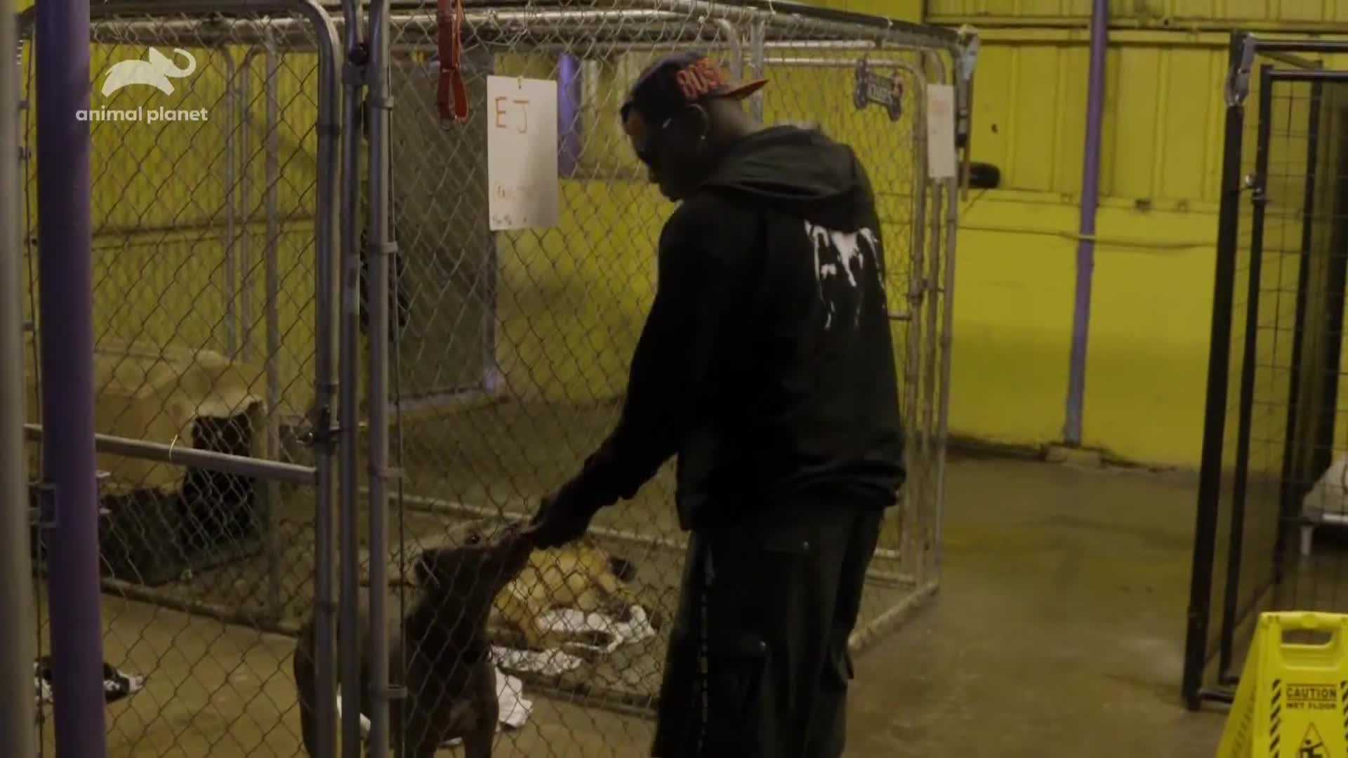 AnimalPlanet