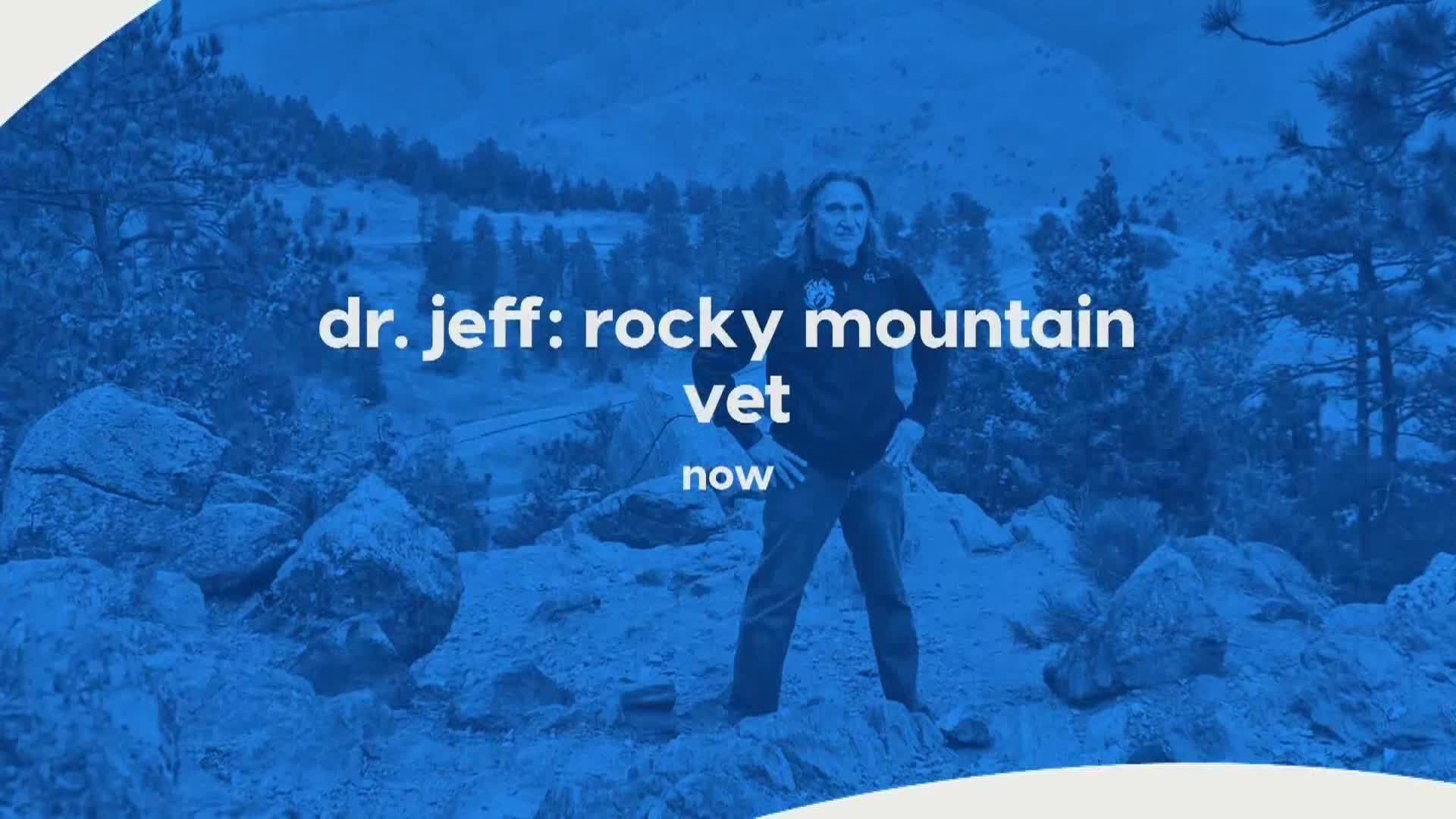 AnimalPlanet