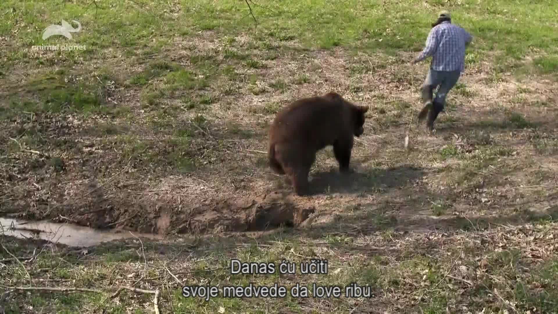 AnimalPlanet