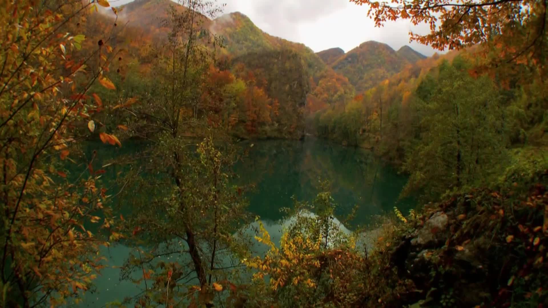 DokuTV