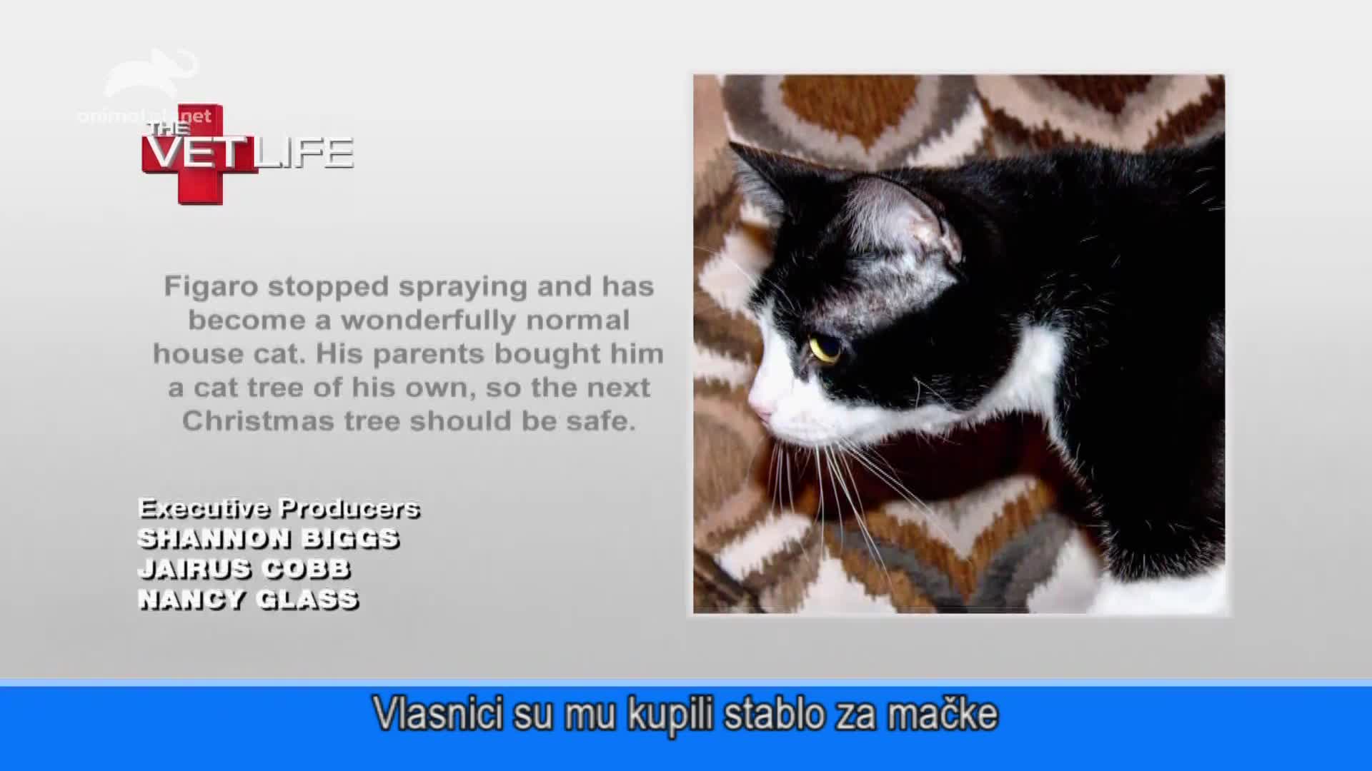 AnimalPlanet