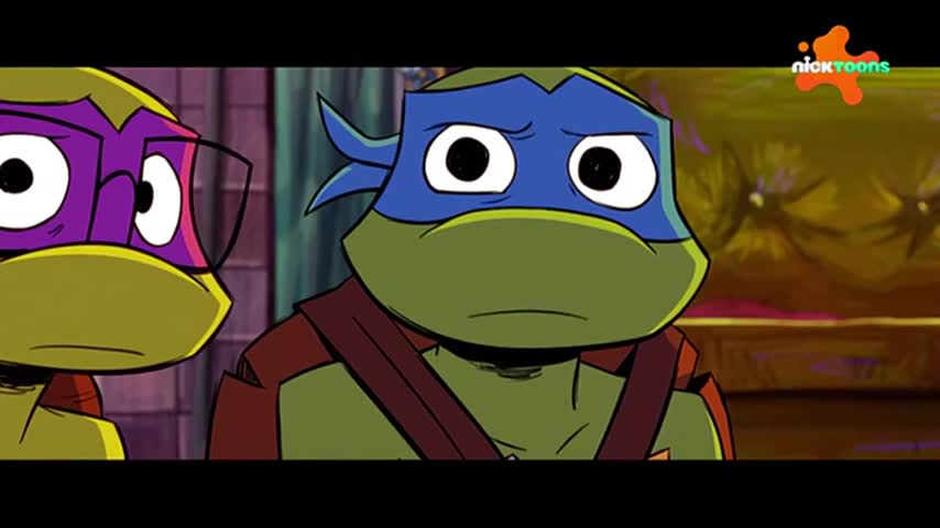 CCExtra