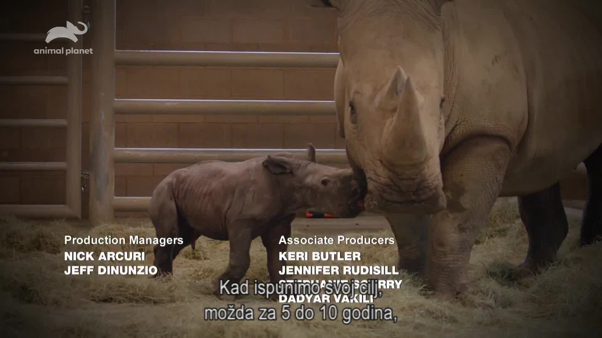 AnimalPlanet