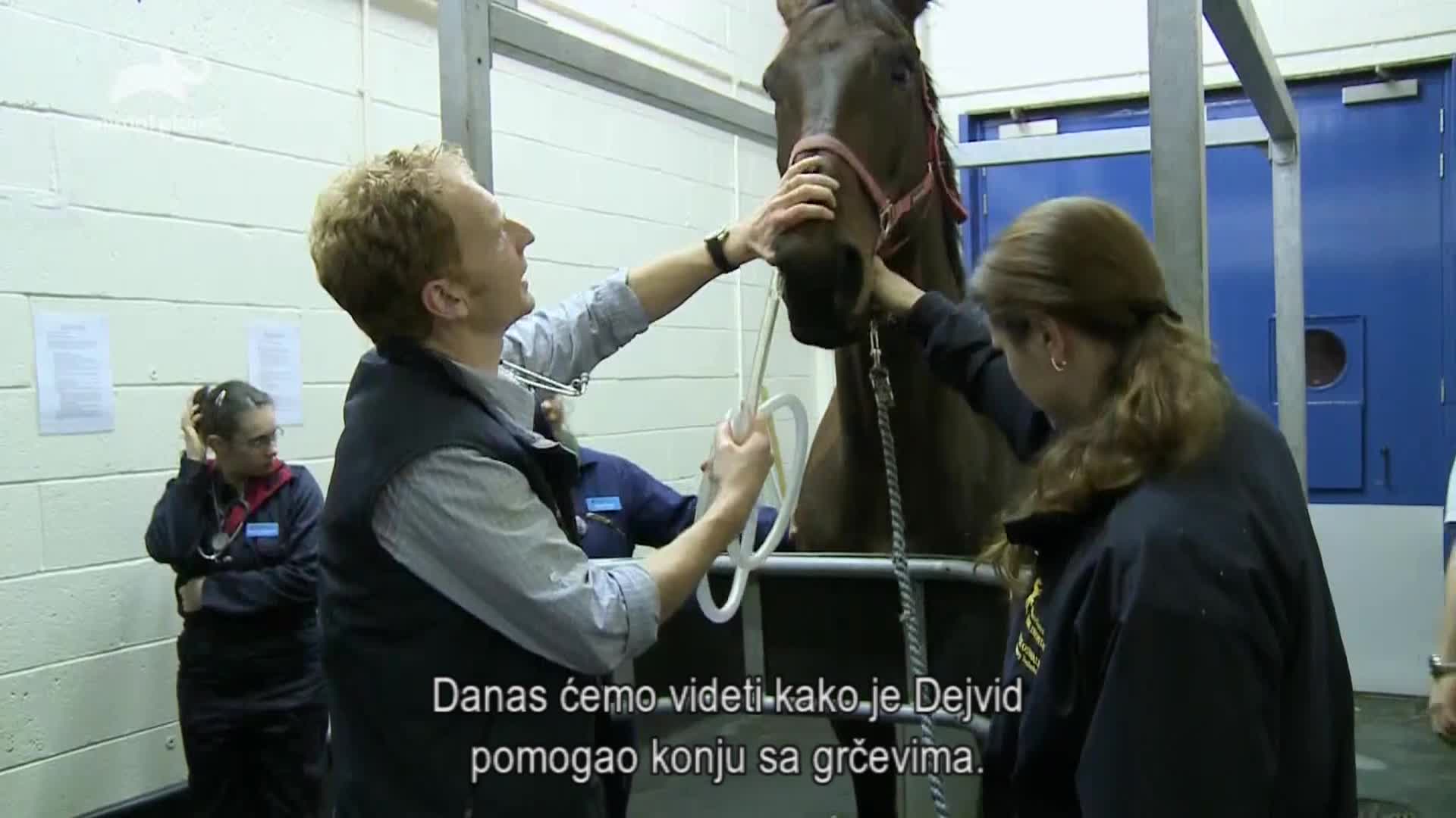 AnimalPlanet