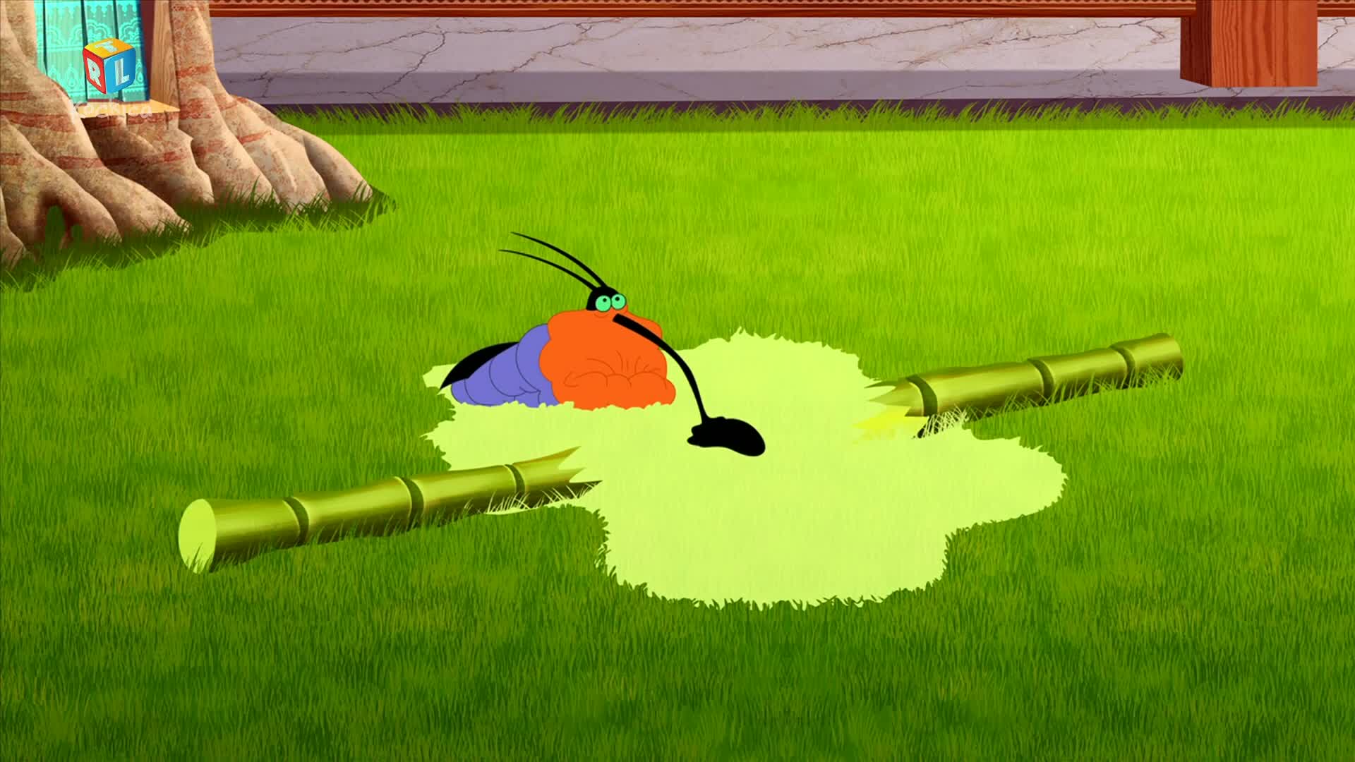 RTLKockica
