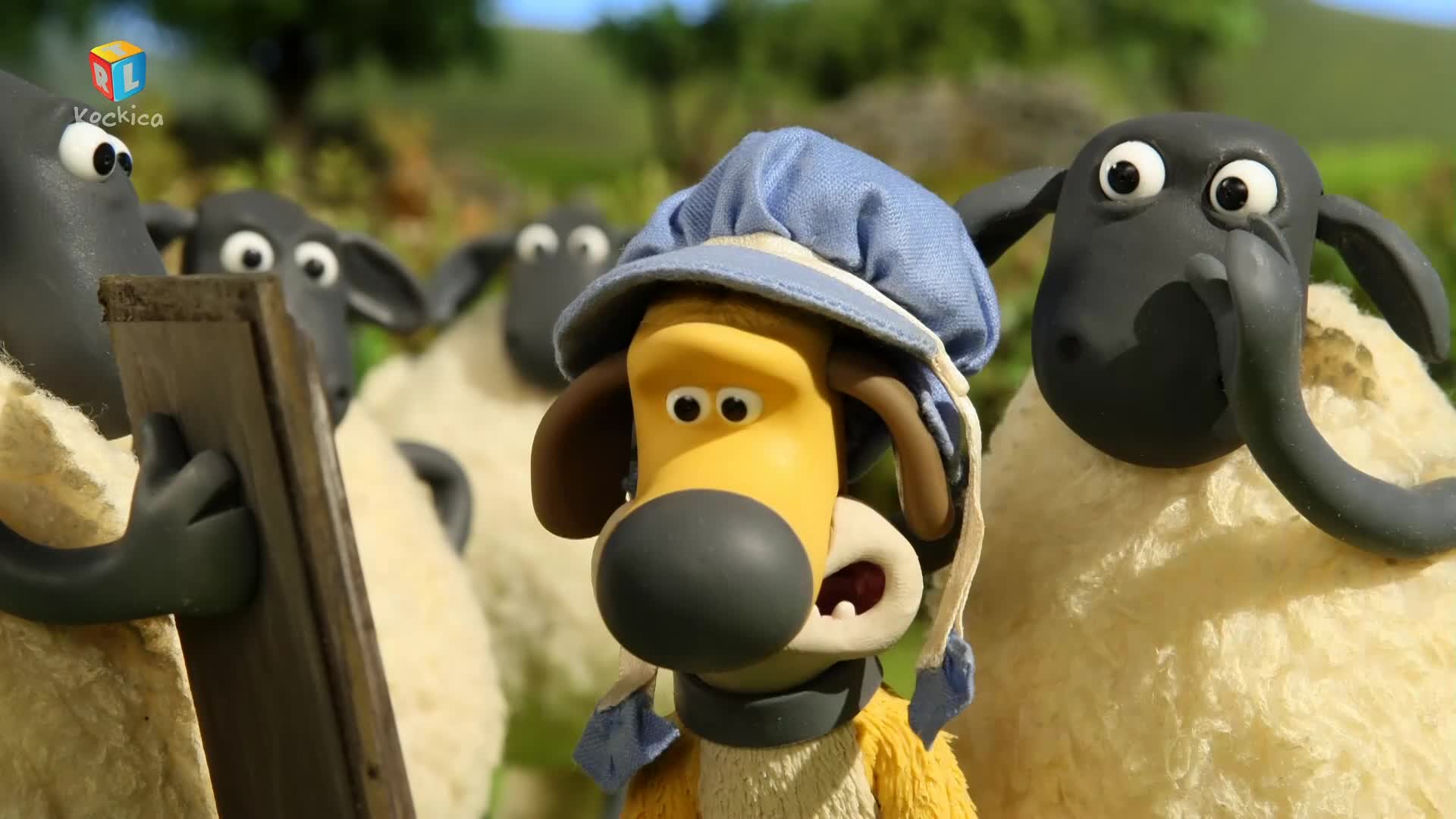RTLKockica
