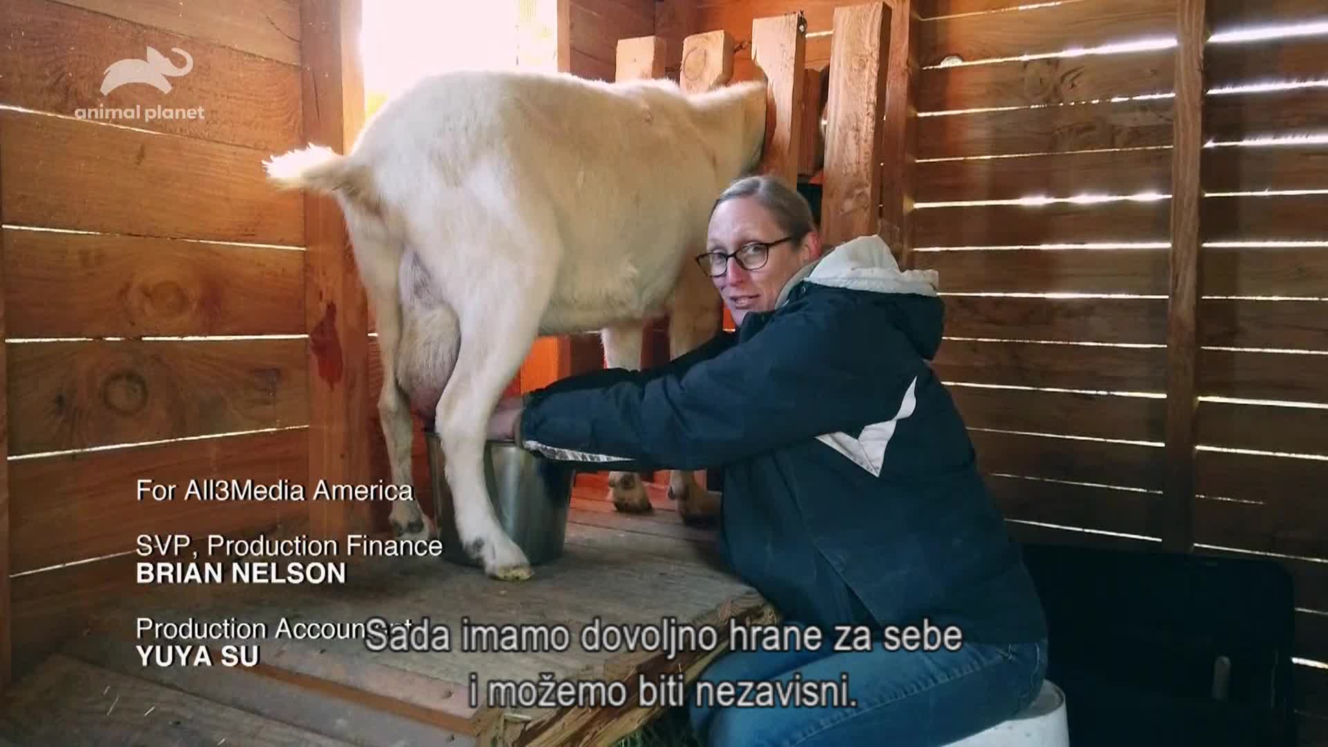 AnimalPlanet