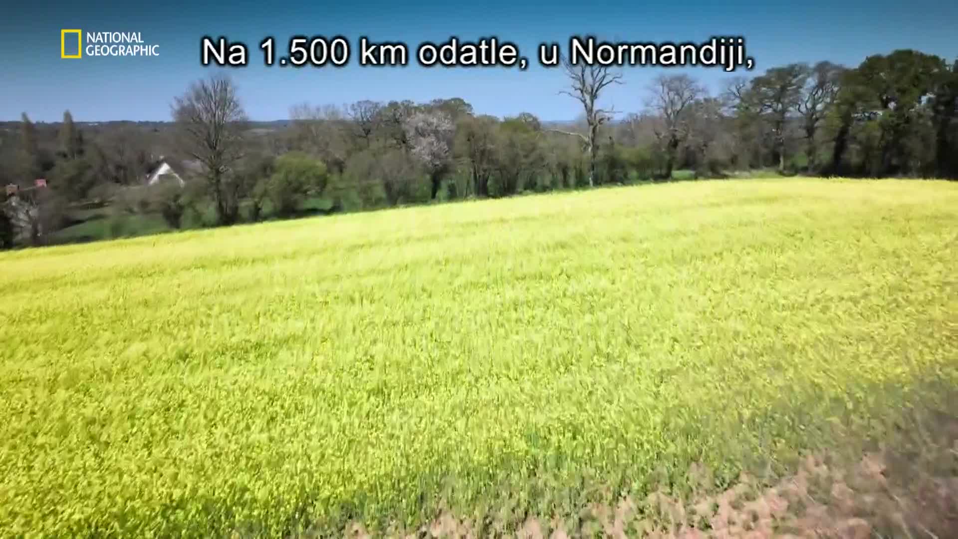Premium10