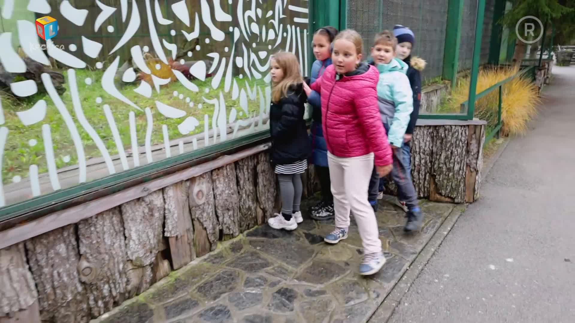 RTLKockica
