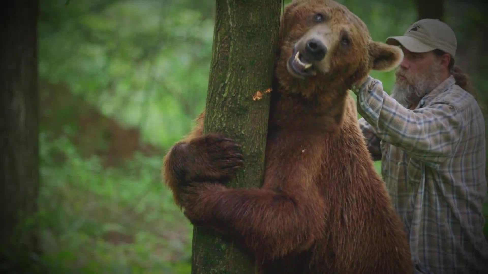 AnimalPlanet
