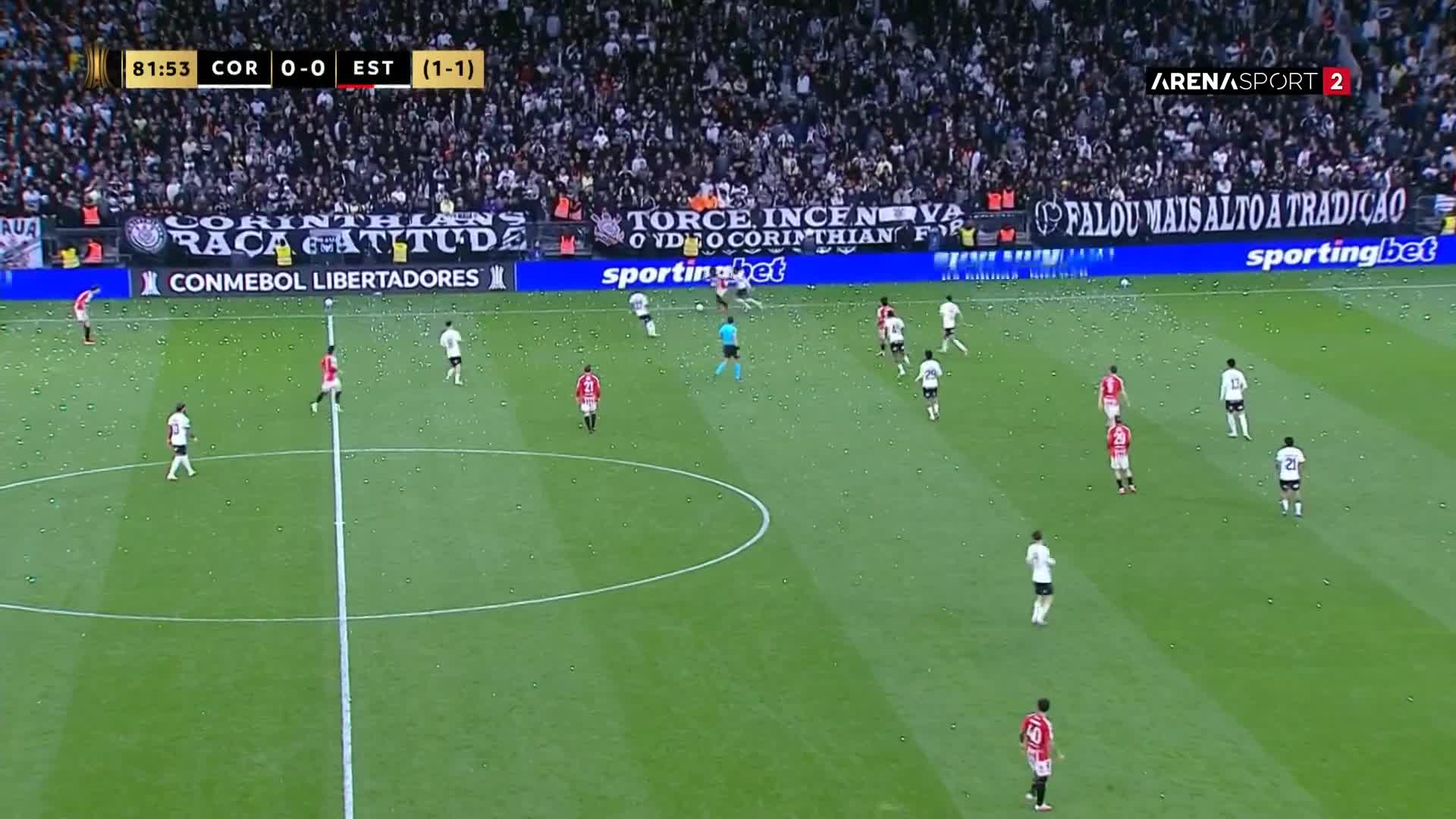 ArenaSportHD2