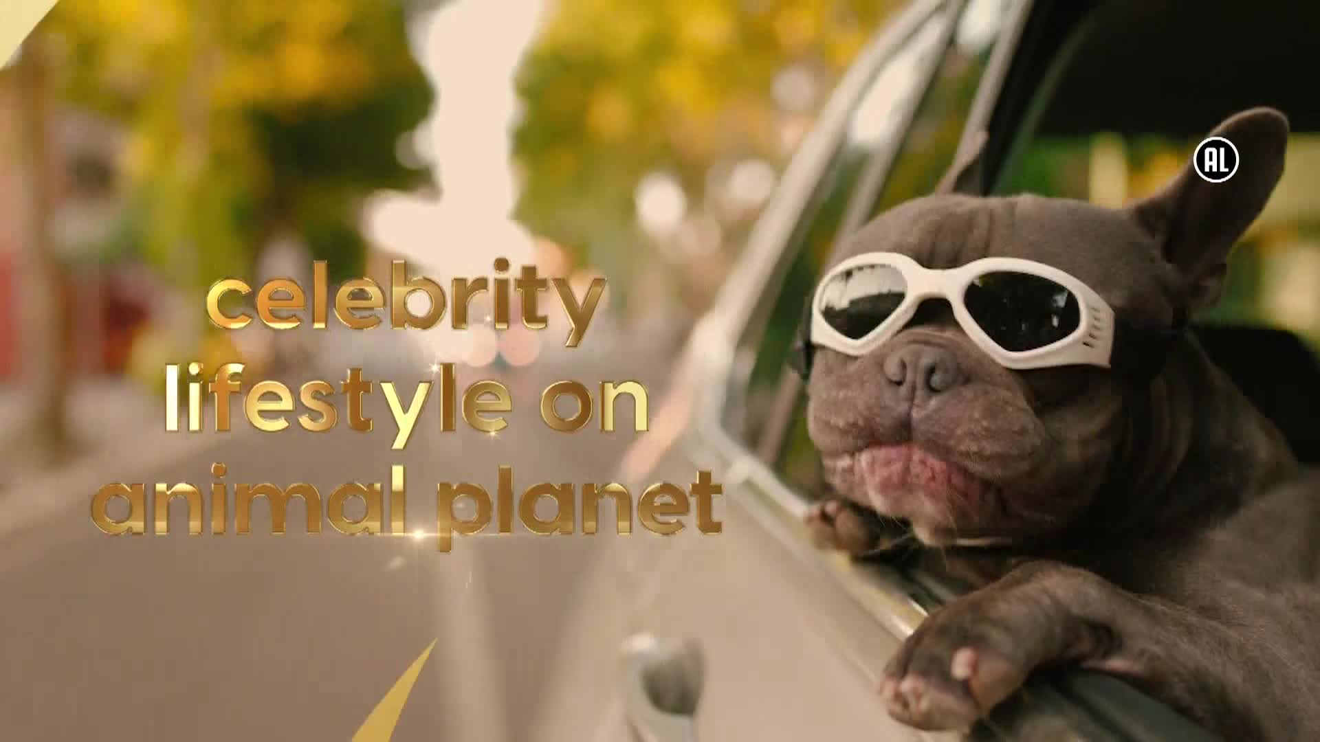 AnimalPlanet