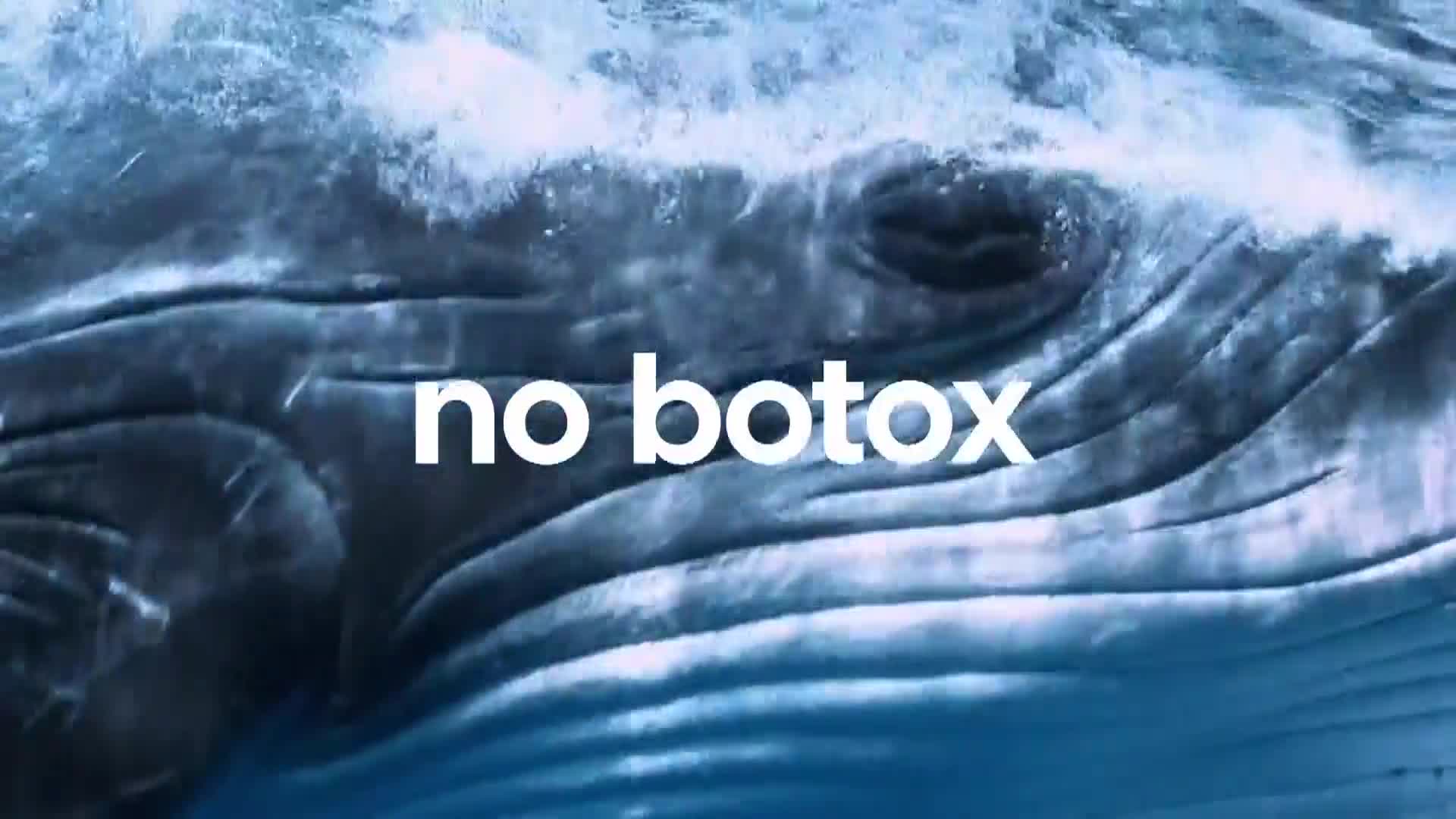 AnimalPlanet