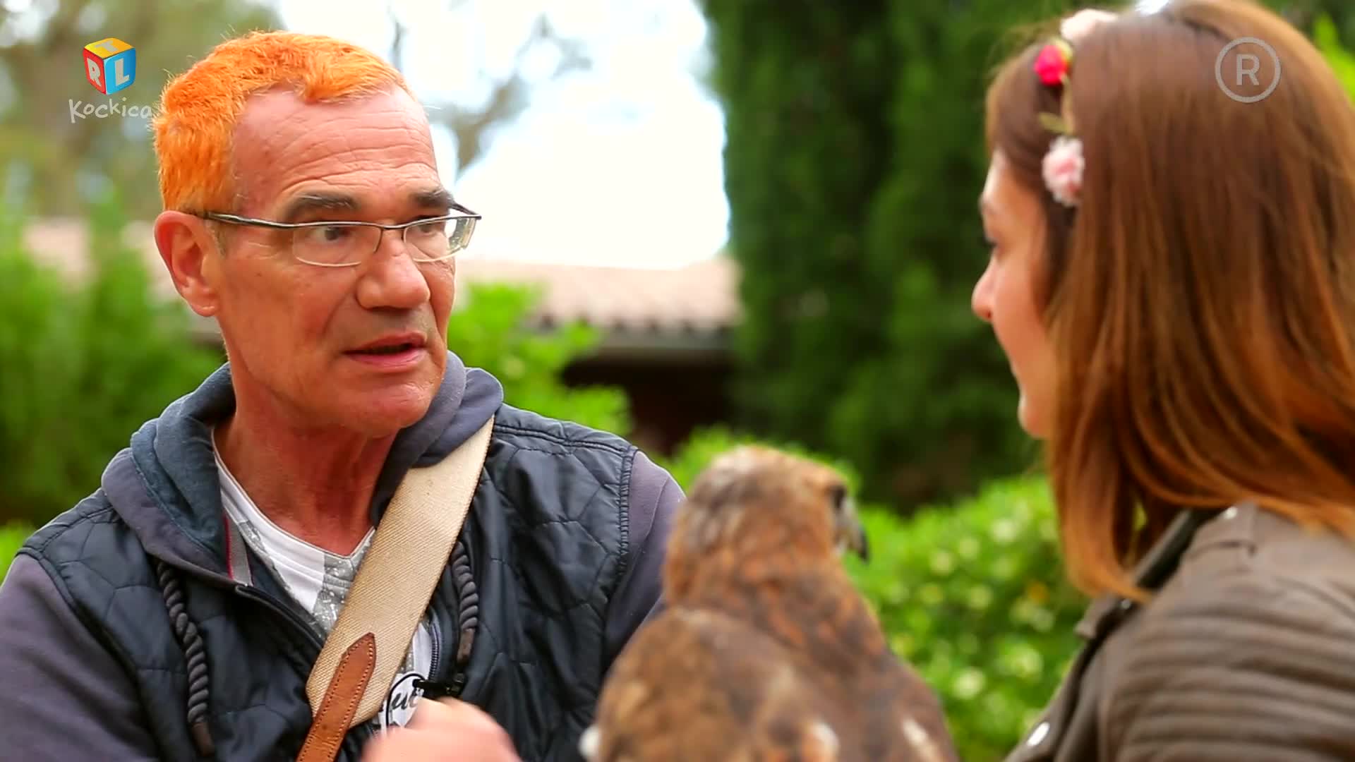 RTLKockica
