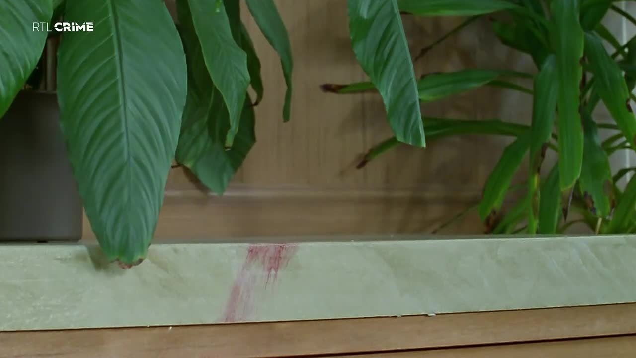 RTLcrime