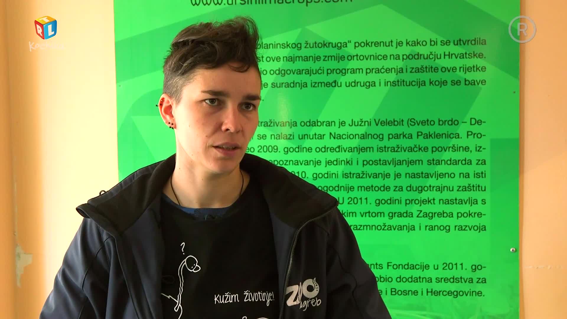 RTLKockica