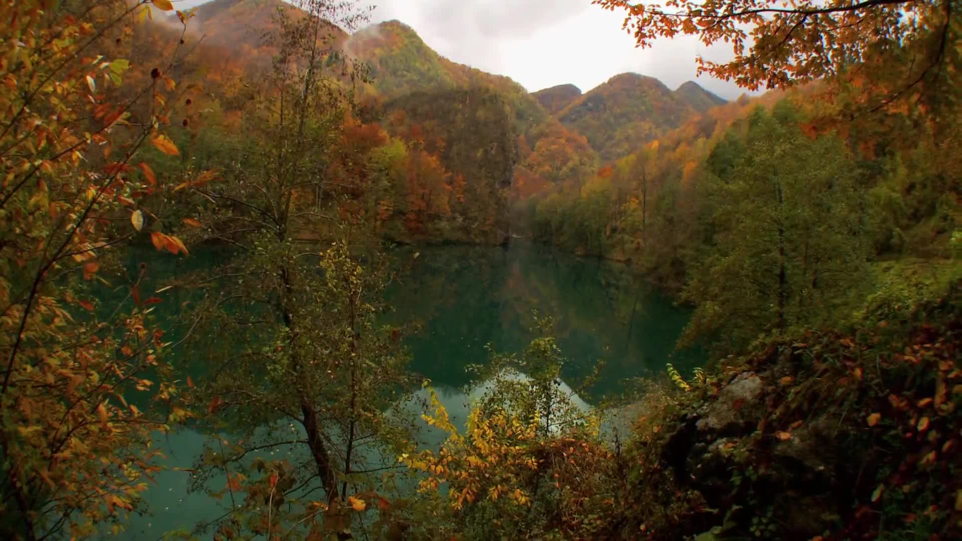 DokuTV