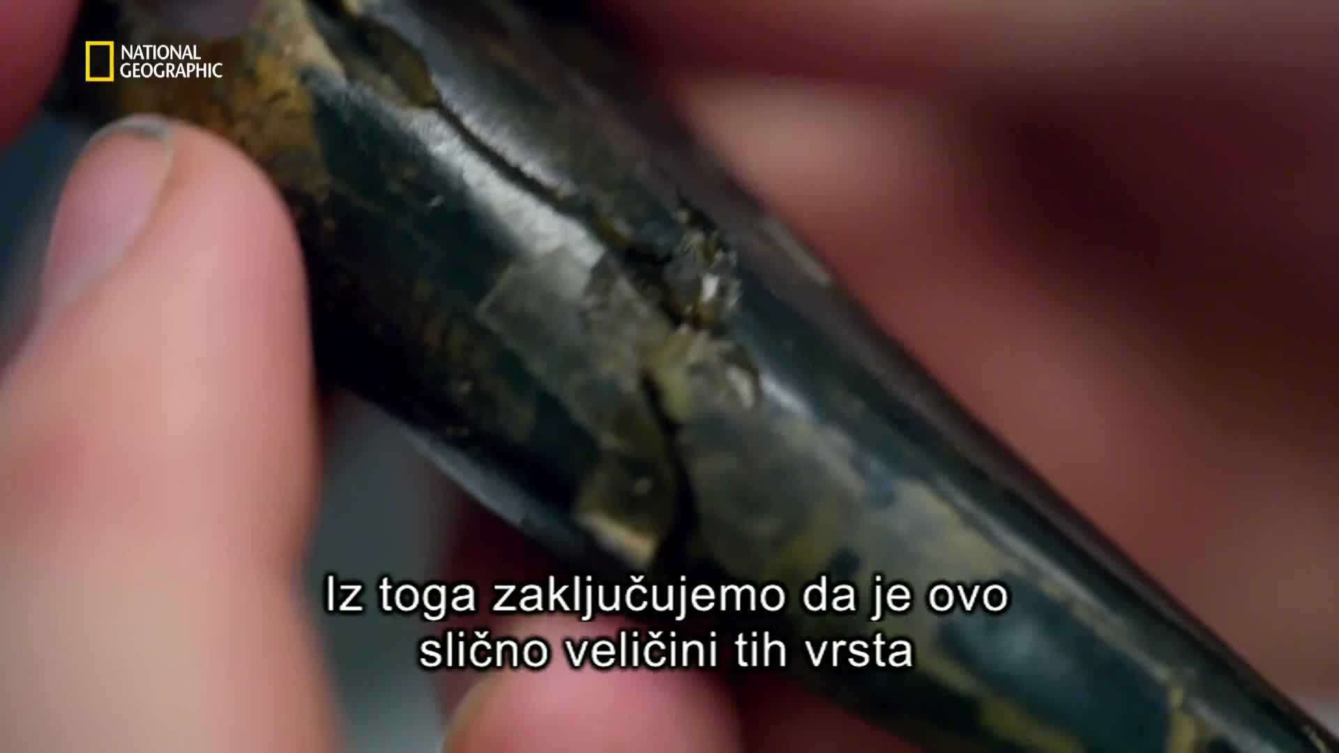 Premium10
