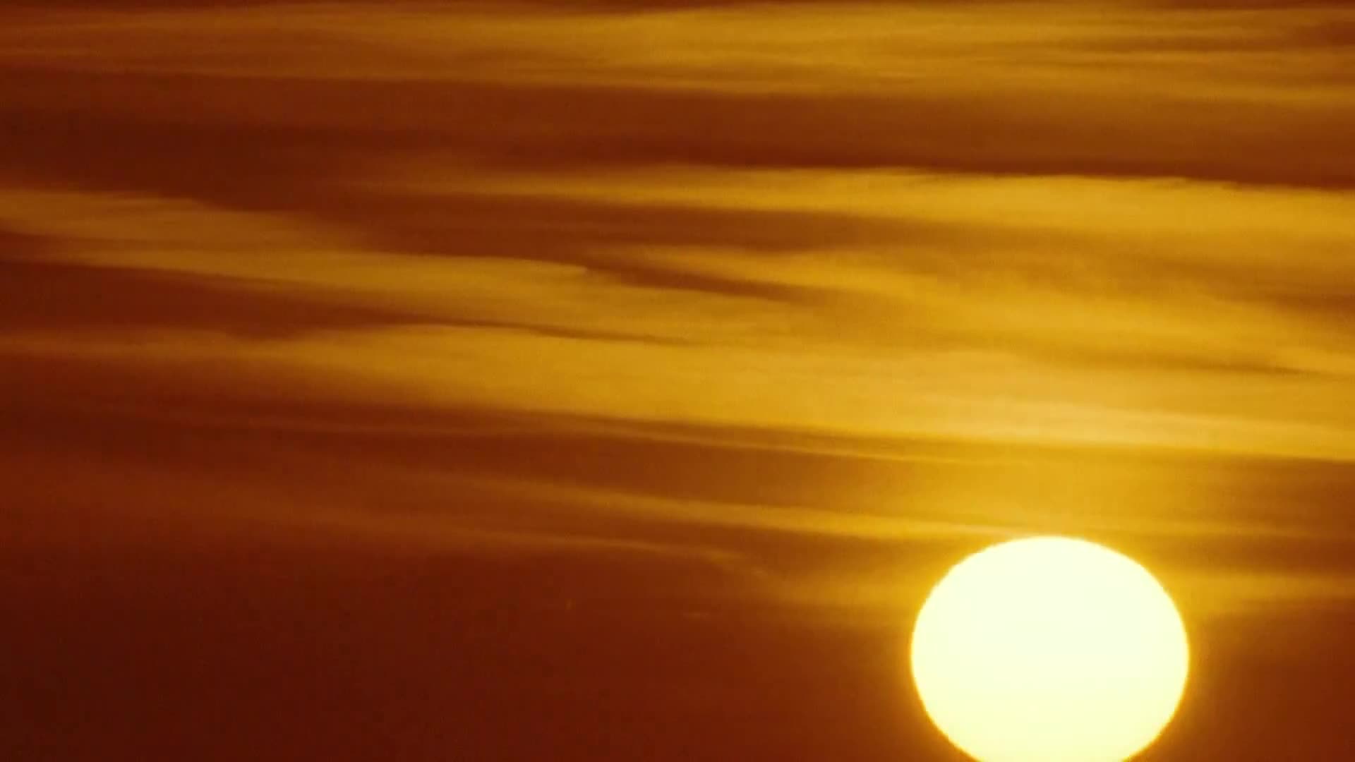 PinkAction