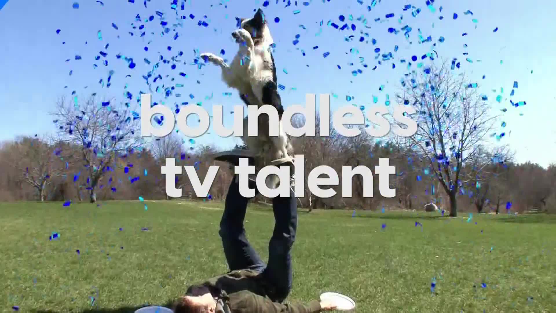 AnimalPlanet