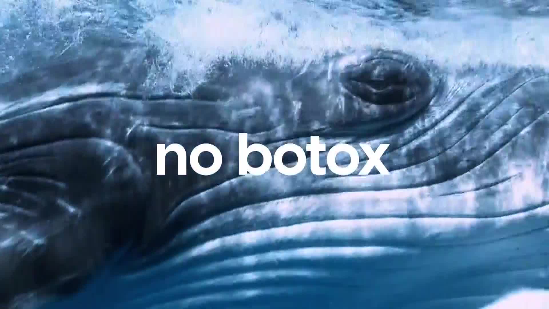 AnimalPlanet
