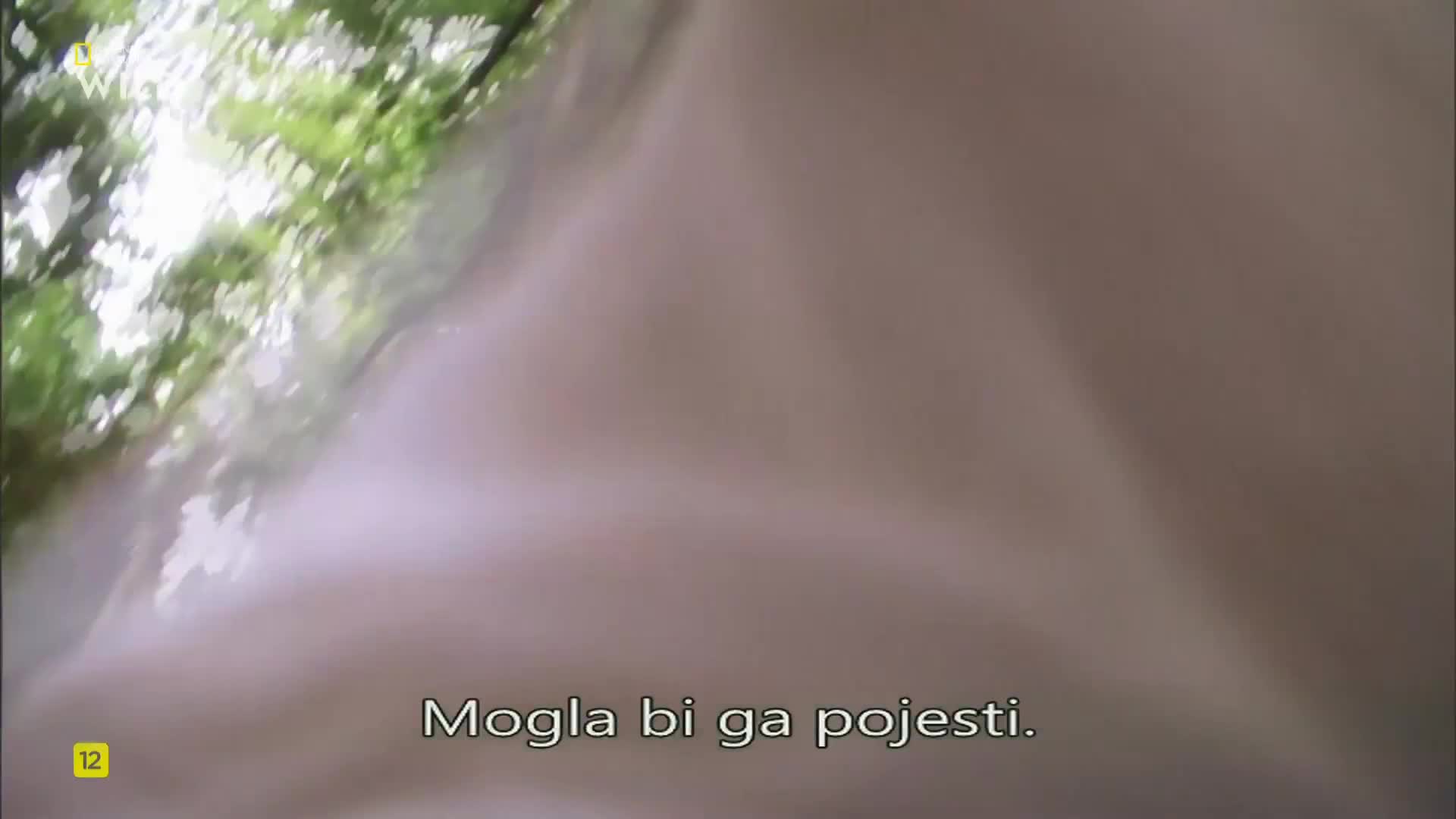 Premium9
