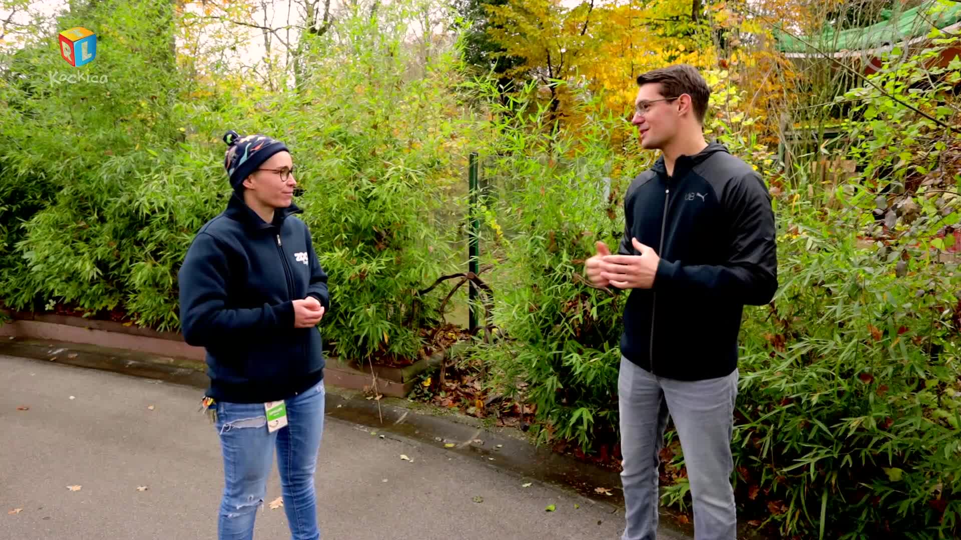 RTLKockica