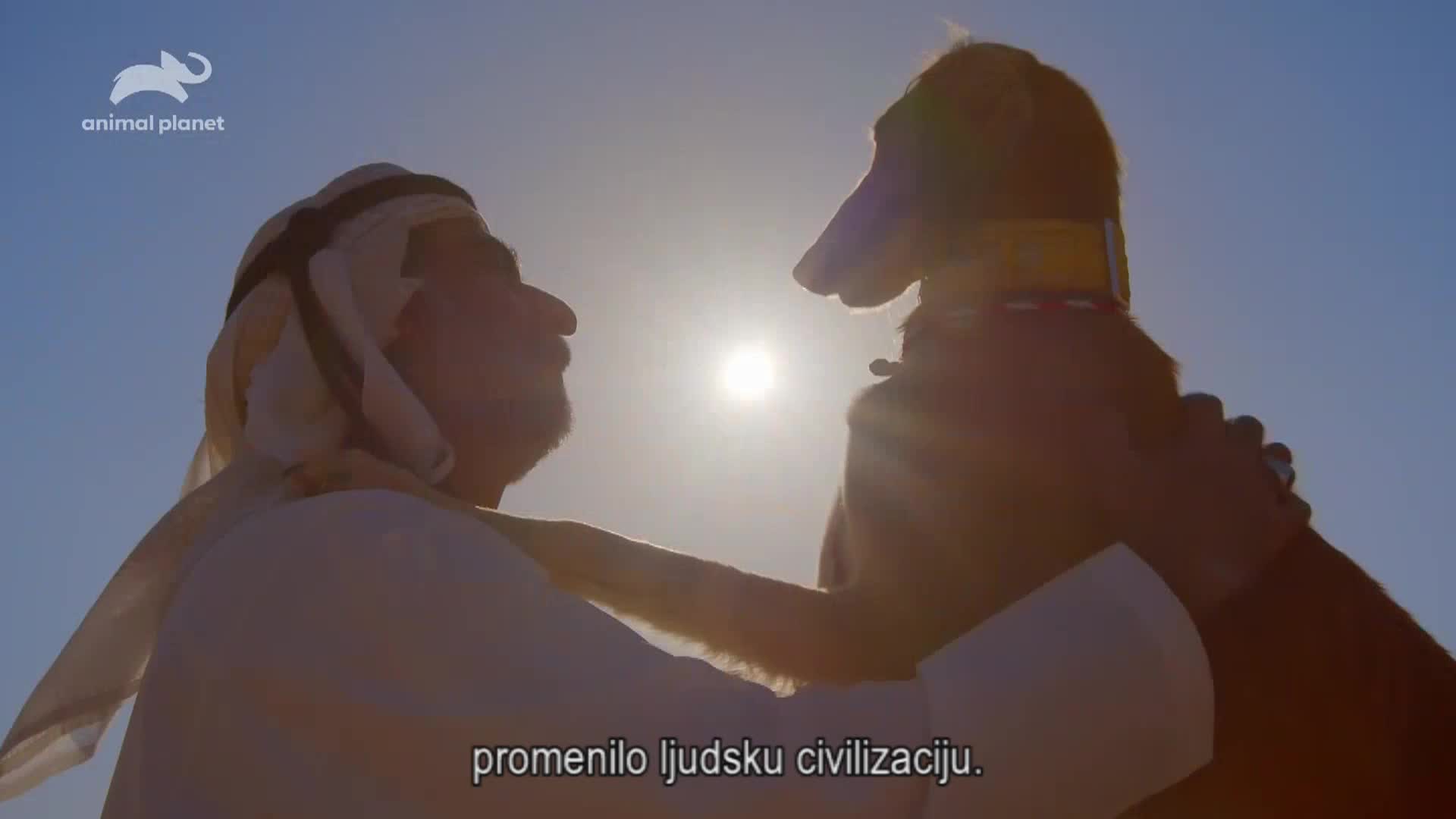 AnimalPlanet