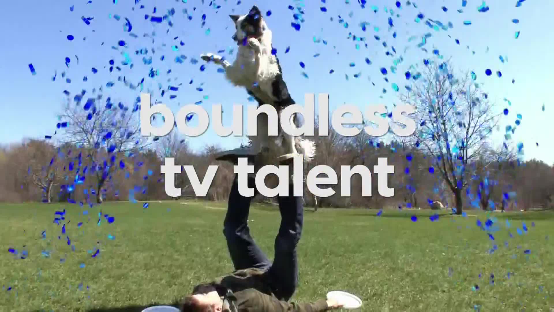 AnimalPlanet