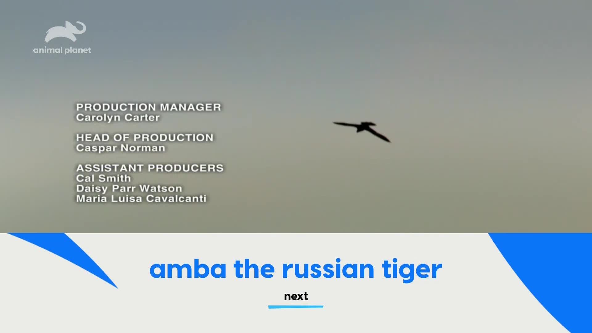 AnimalPlanet