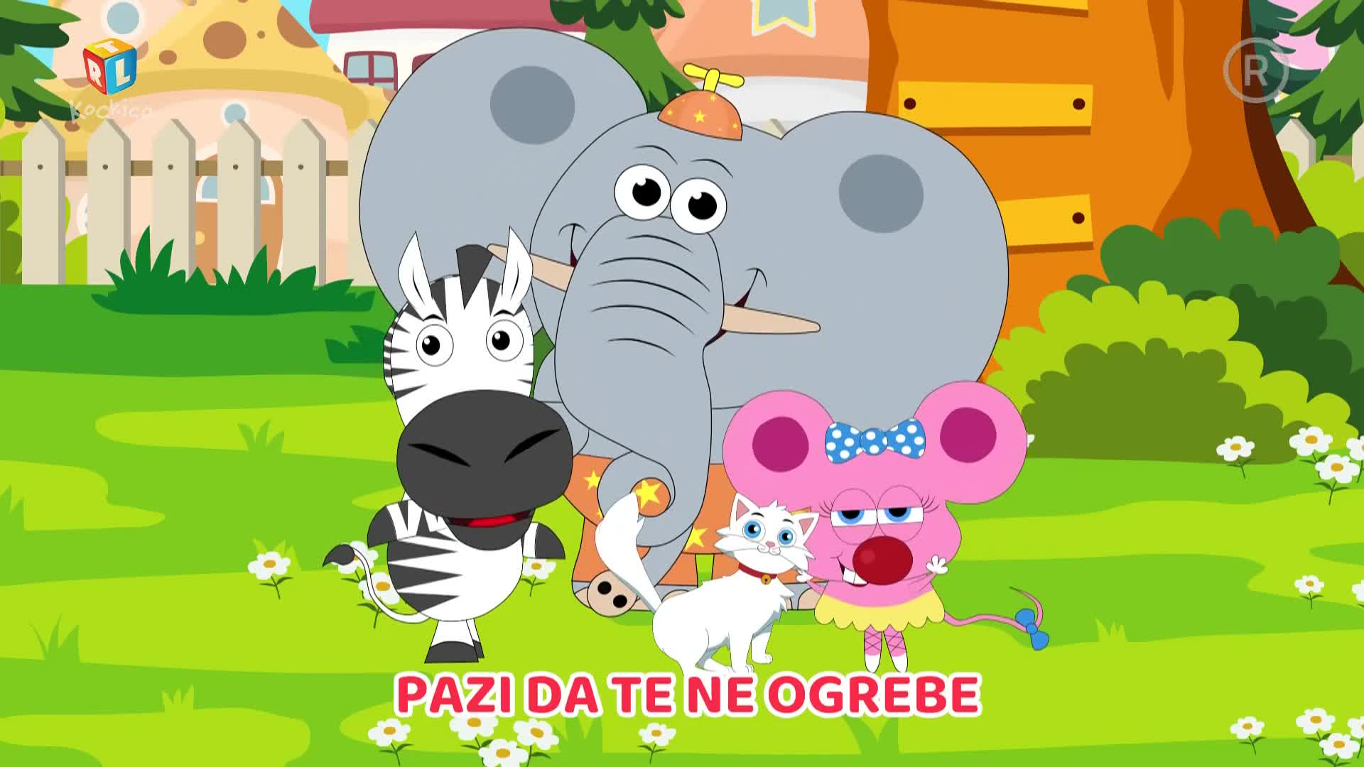 RTLKockica