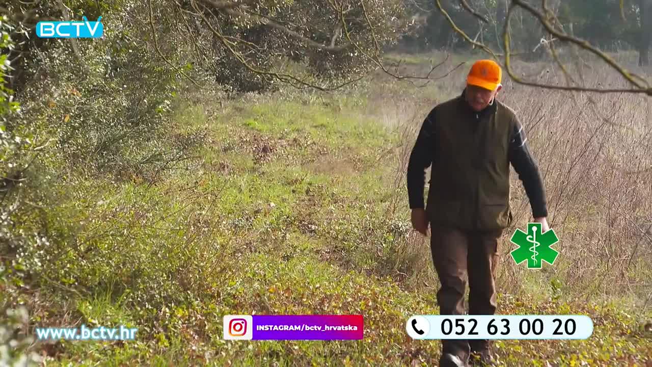 DomaTV