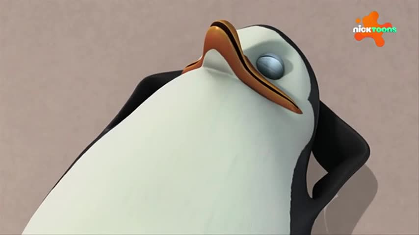 CCExtra