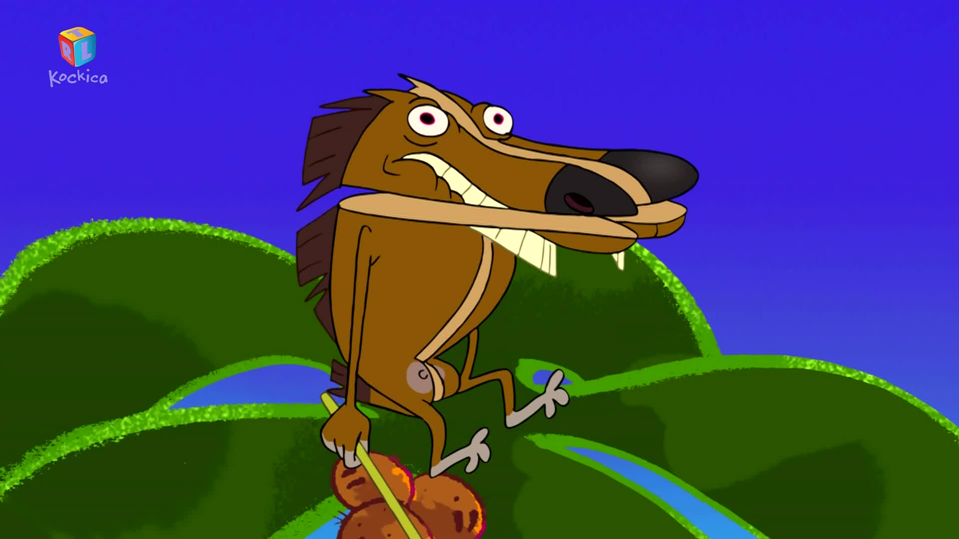 RTLKockica