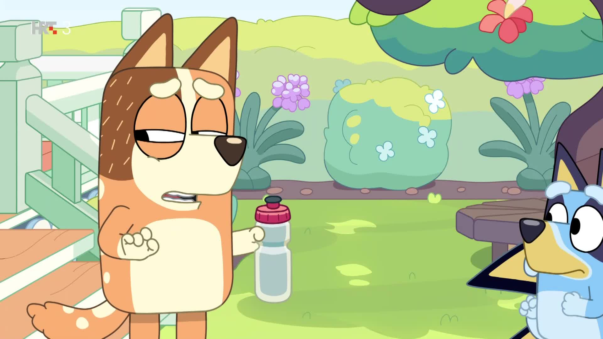 HRT3