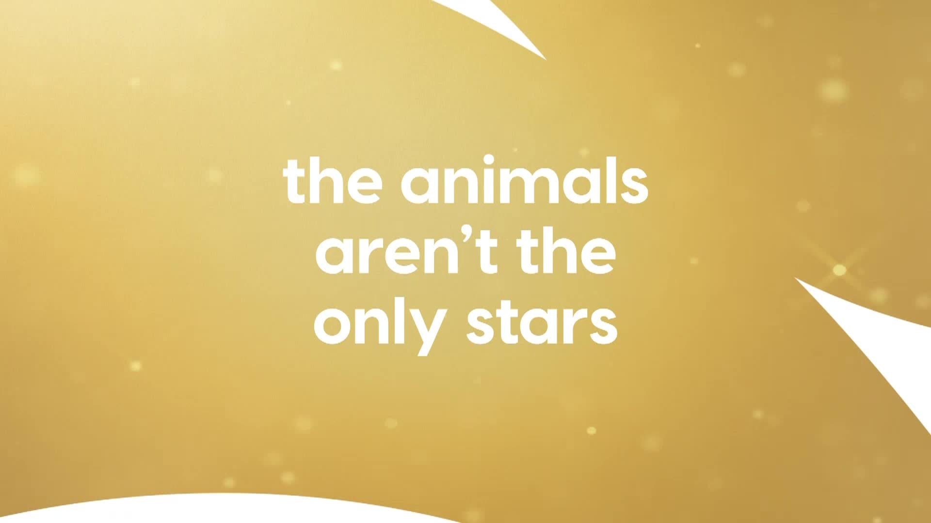 AnimalPlanet