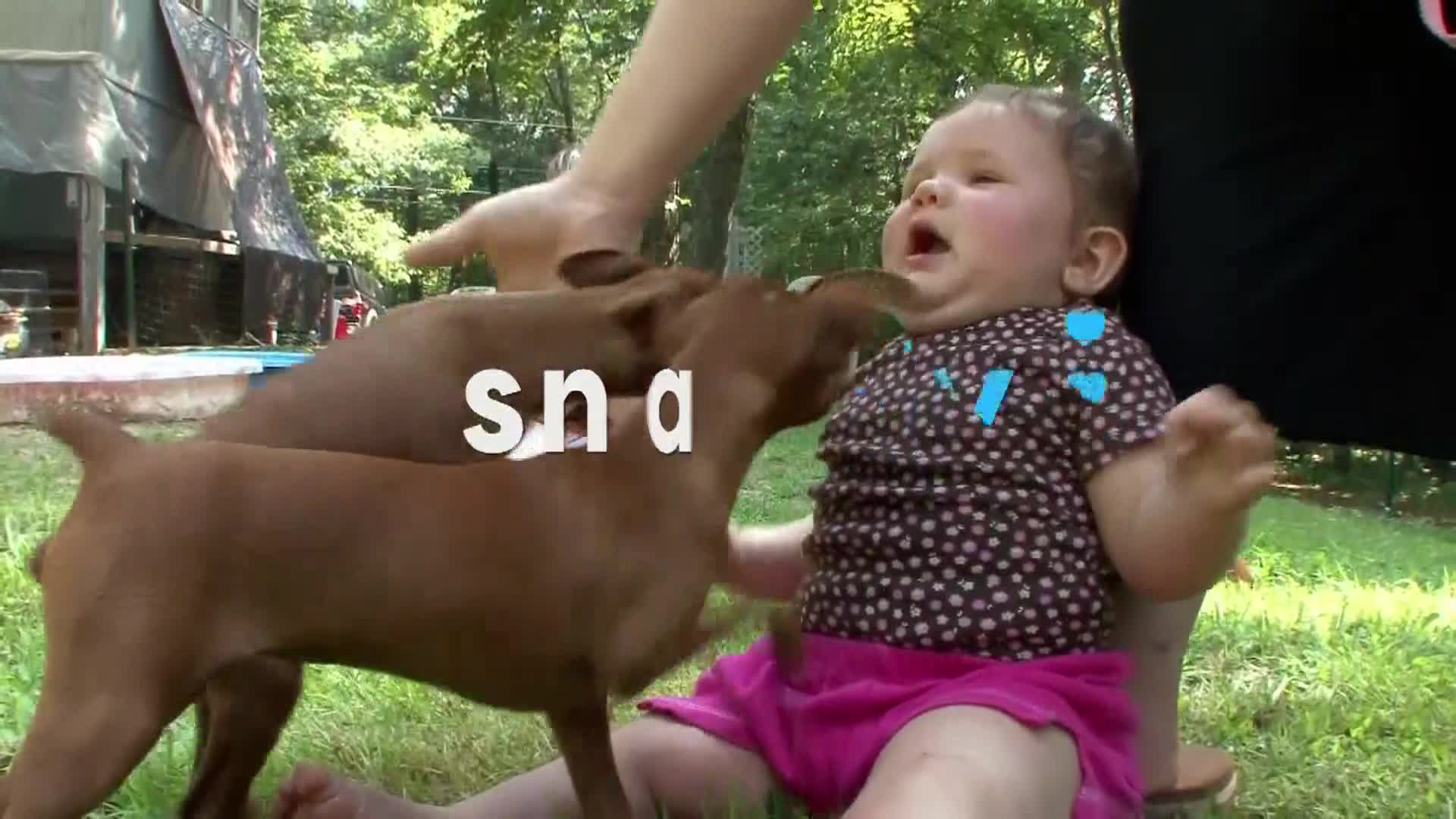 AnimalPlanet
