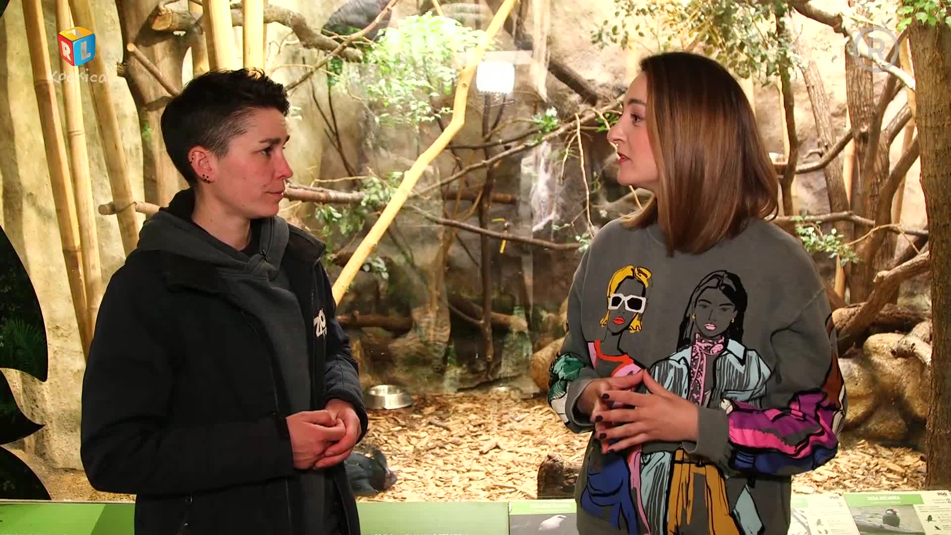 RTLKockica