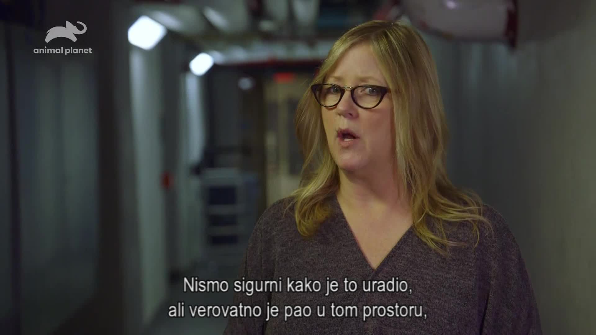 AnimalPlanet