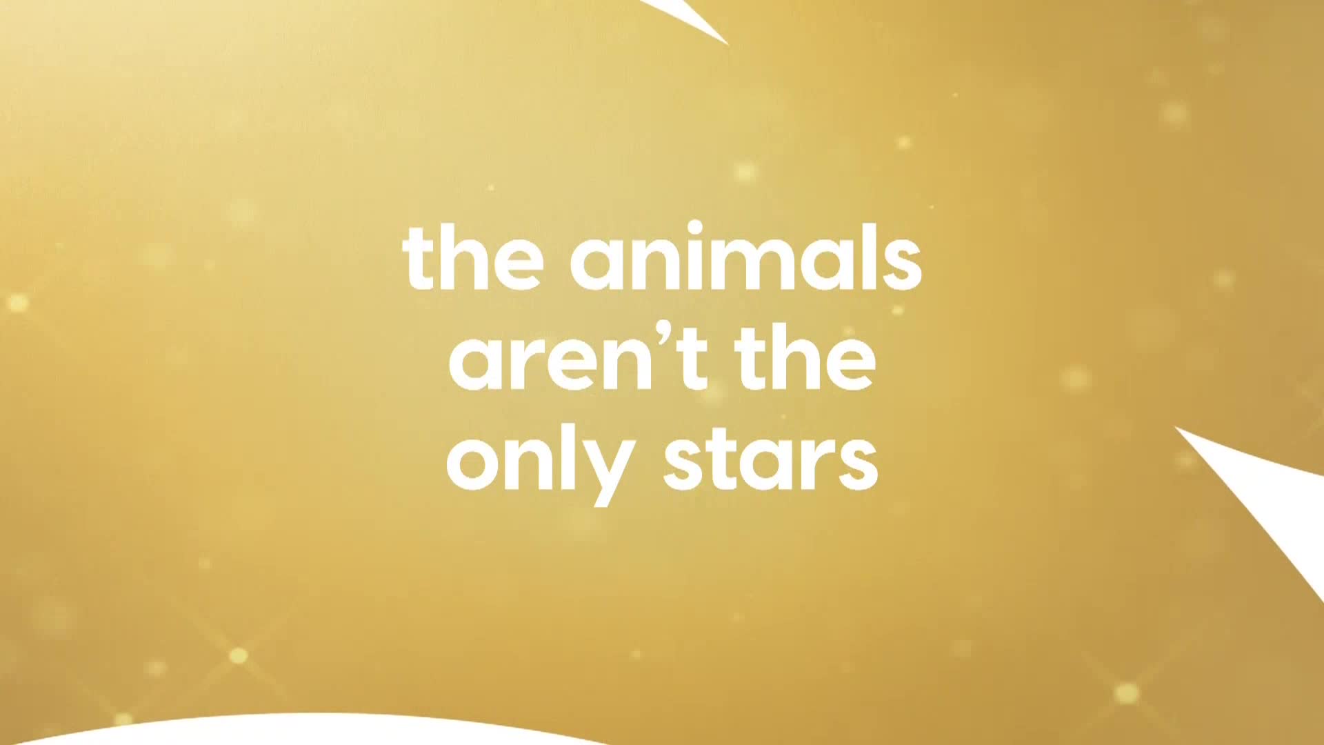 AnimalPlanet