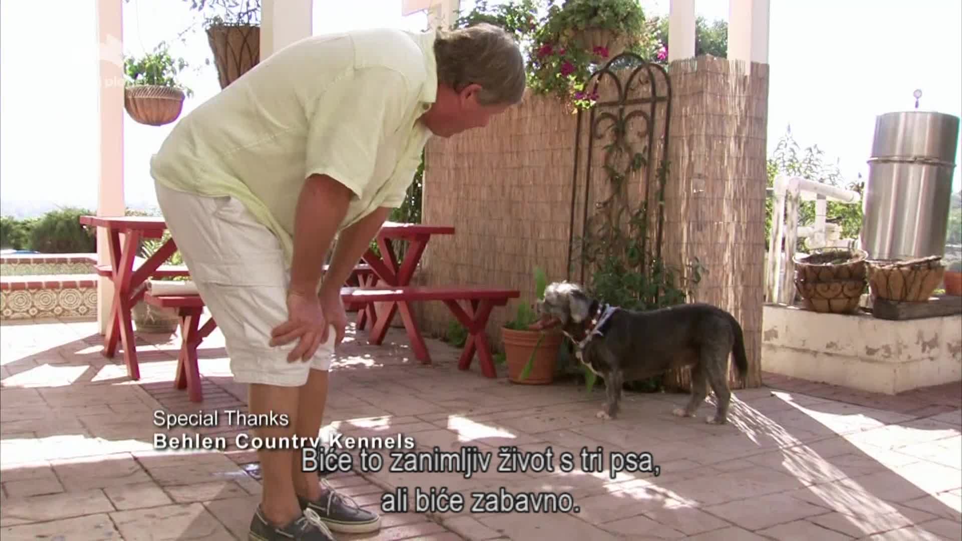 AnimalPlanet