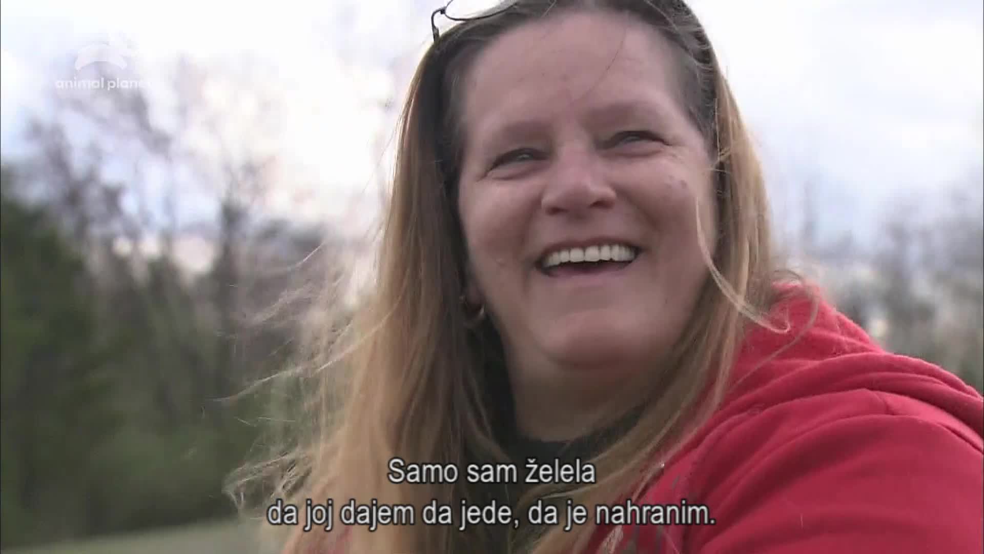 AnimalPlanet
