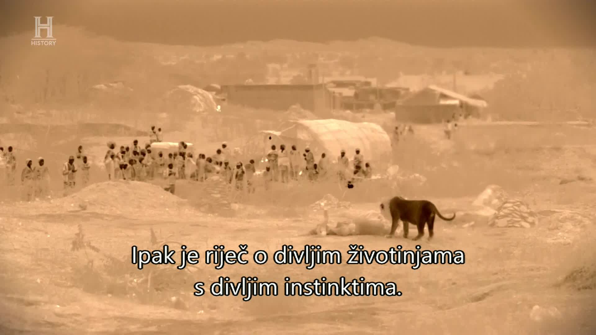 History