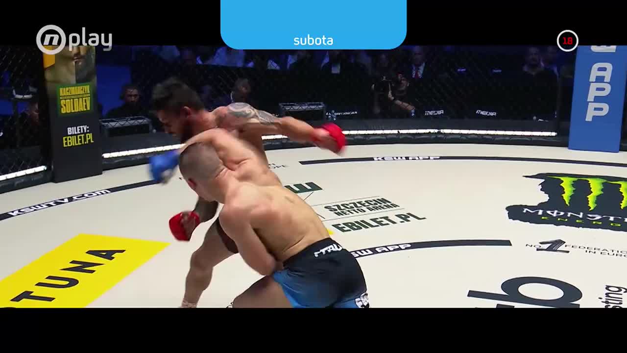 DomaTV