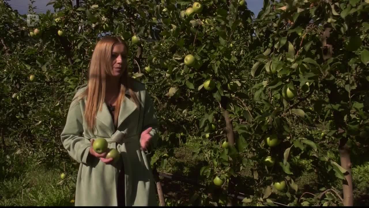 FTV