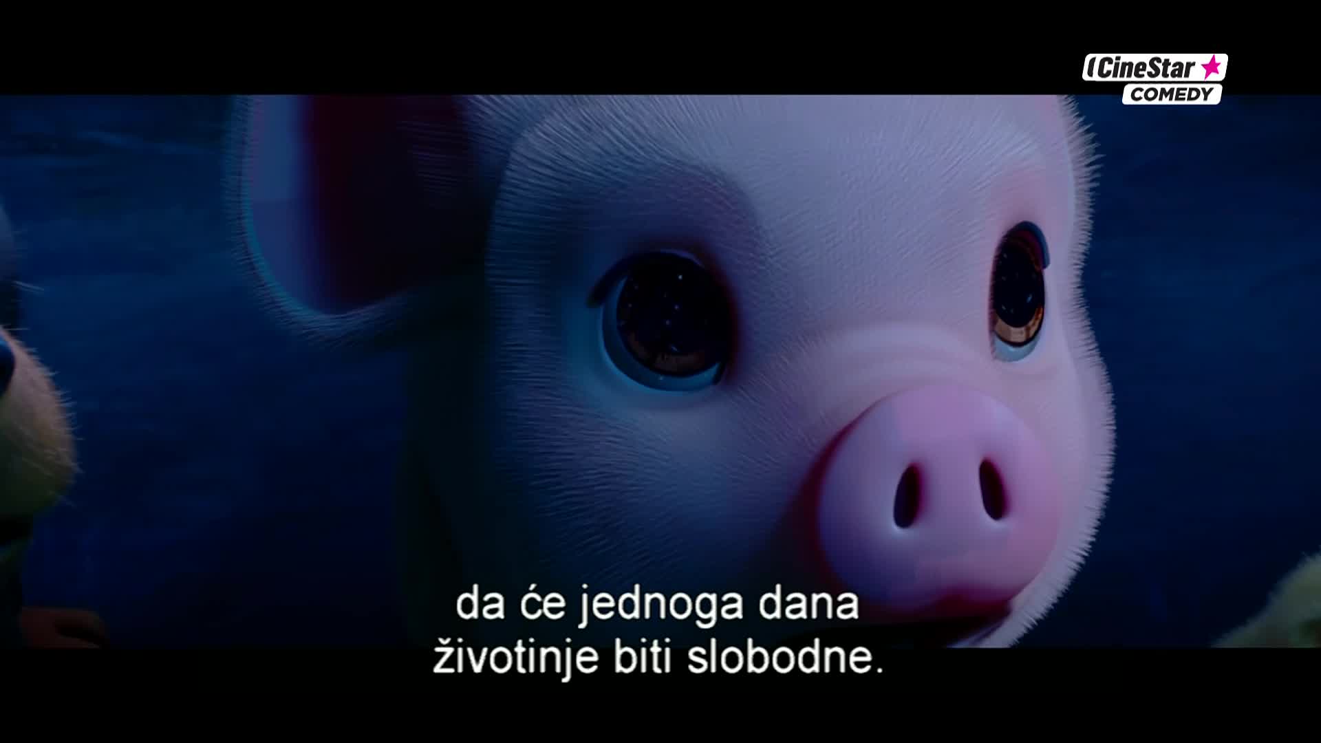 CinestarComedy
