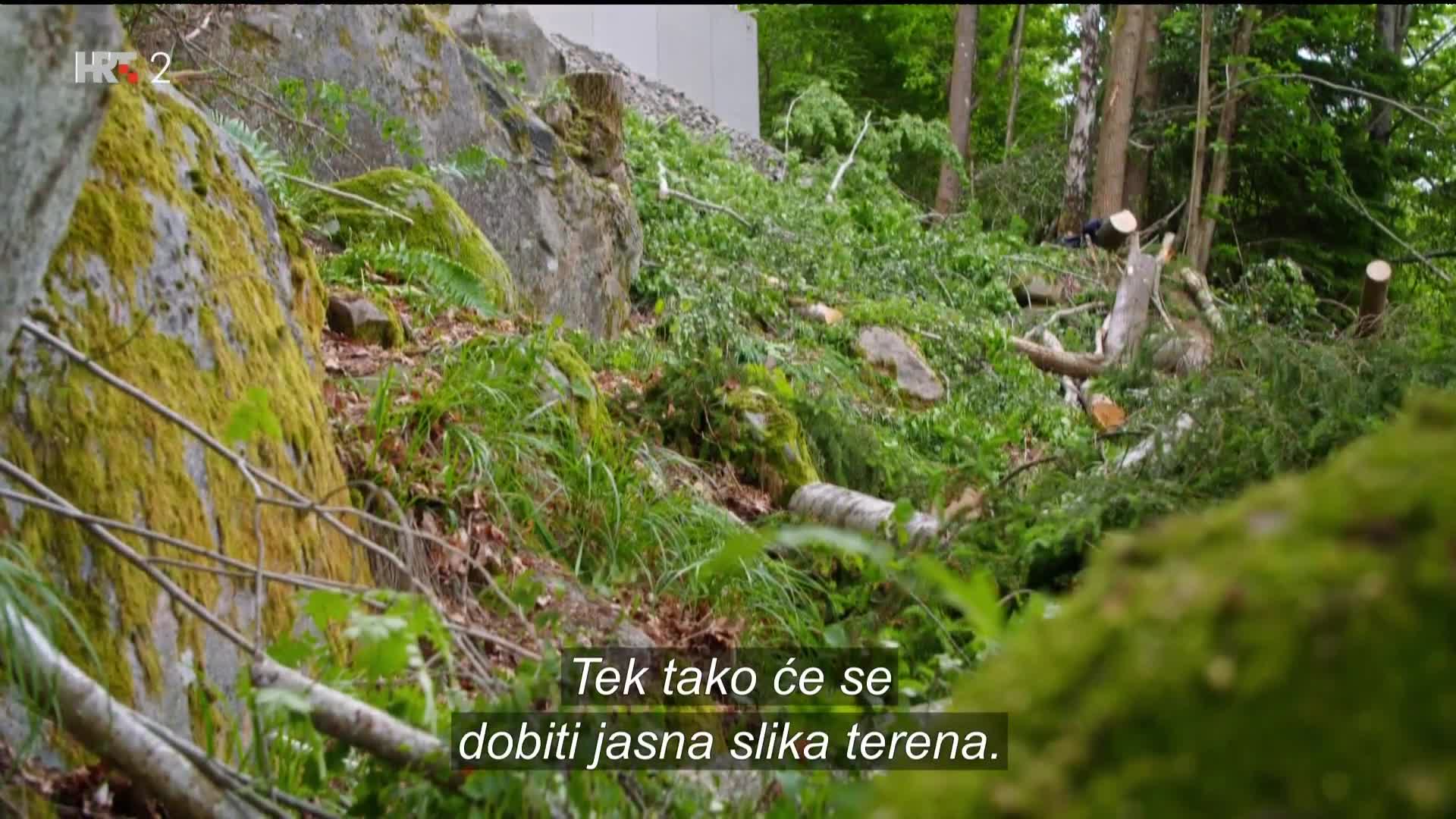 HRT2