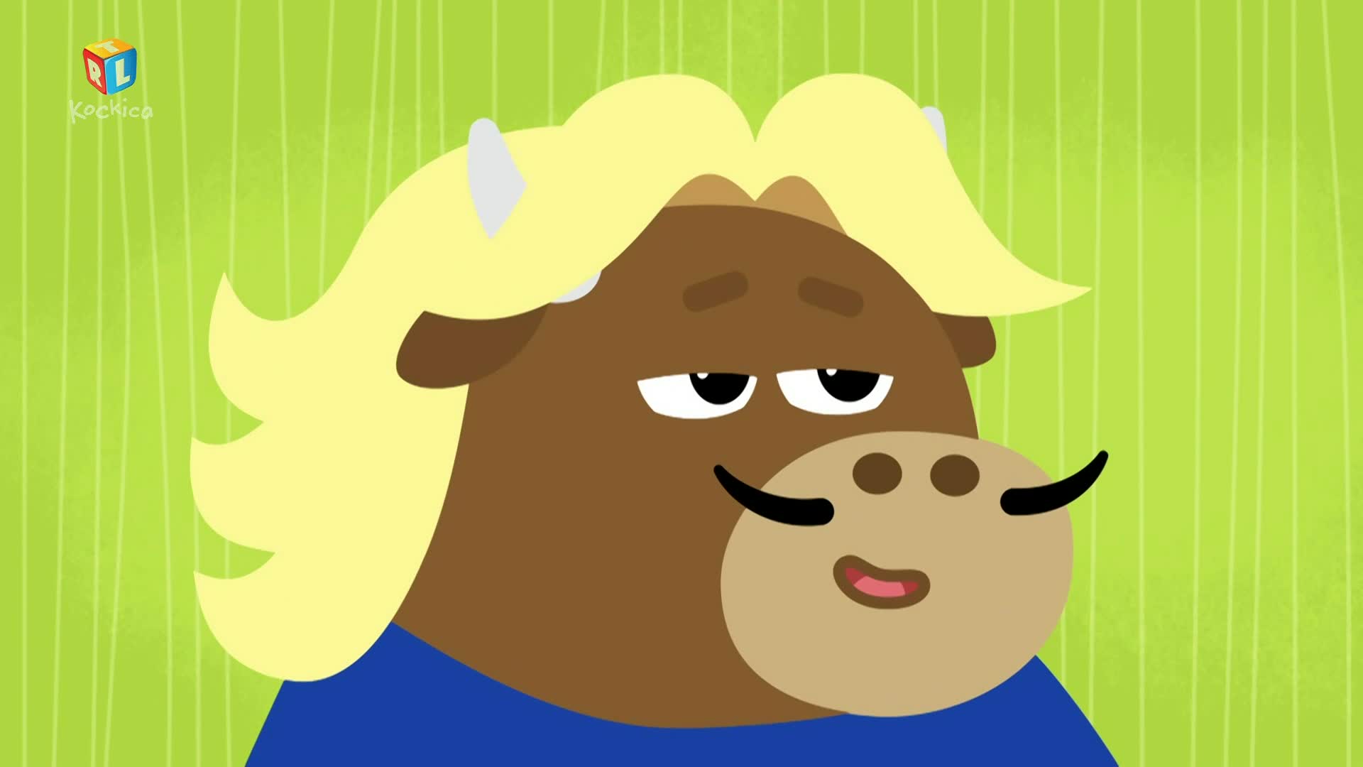 RTLKockica