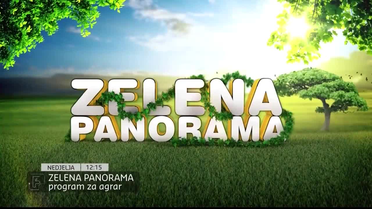 FTV
