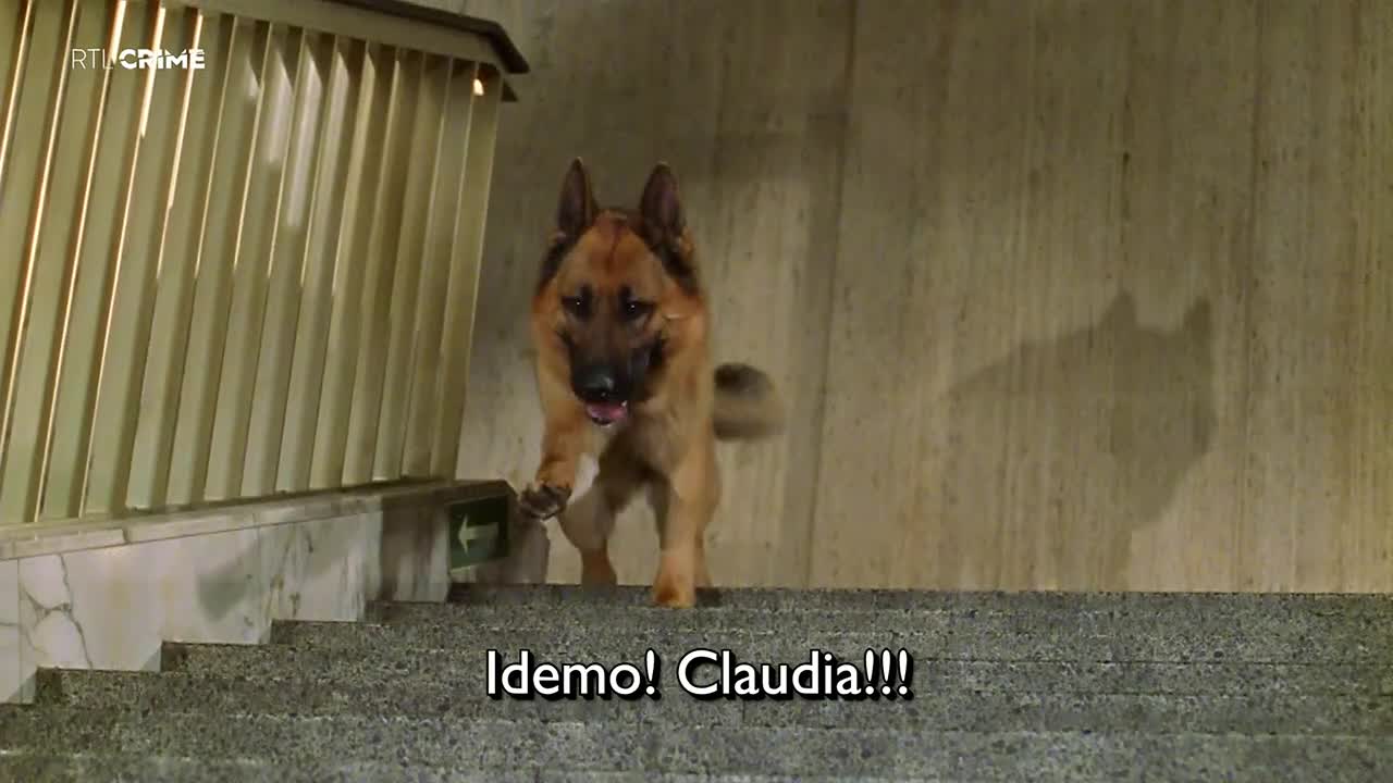 RTLcrime